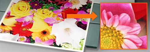 柯尼卡美能達C221s原裝碳粉輸出效果 柯尼卡美能達C221s原裝碳粉輸出效果