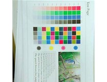 東莞客戶 柯尼卡美能達(dá)C210彩色復(fù)印機(jī)出P9|P21代碼效果問(wèn)題處理好啦