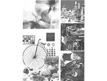 柯尼卡美能達(dá)復(fù)印機bizhub306的600dpi分辨率的輸出質(zhì)量