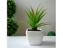 夏日帶上柯尼卡美能達復印機 添點綠植 泡個花茶 時刻保濕 一起涼快辦公